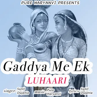 Gaddya Me Ek Luhaari by Sunil Dujania