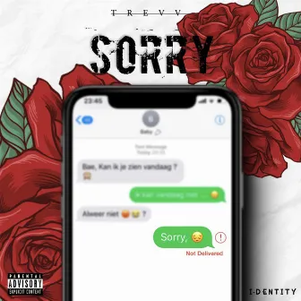 Sorry by Trevv