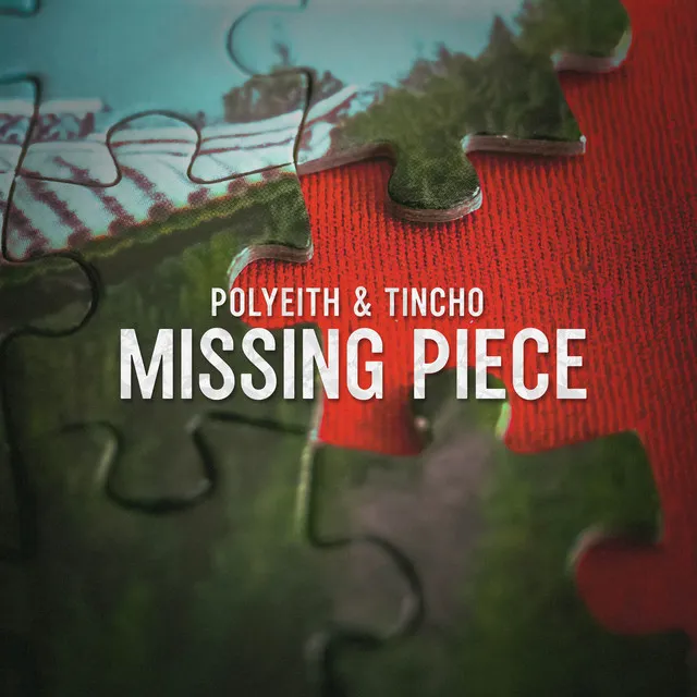 Missing Piece