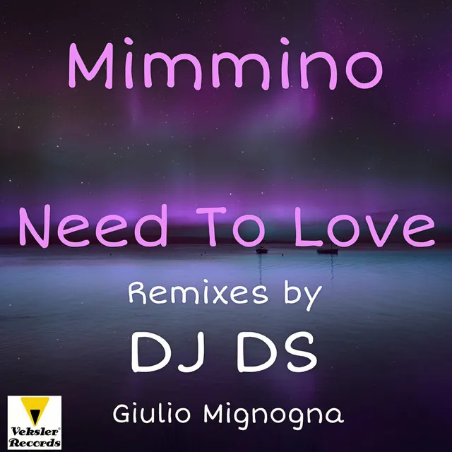 Need To Love - DJ DS Disco Club Remix