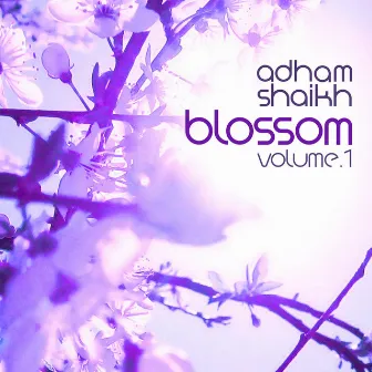 Music for Cherry Blossoms, Vol. 1 by Adham Shaikh