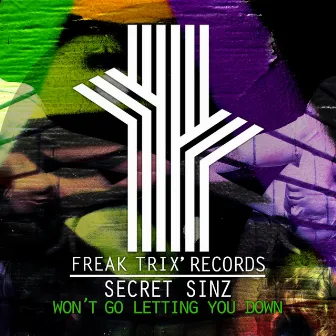 Won't Go Letting You Down by Secret Sinz