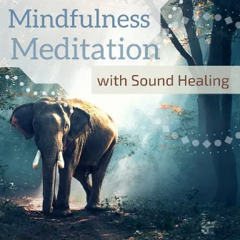 Mindfulness Meditation with Sound Healing - 80 Songs for Healing Anxiety & Inner Peace by Amazing Sounds