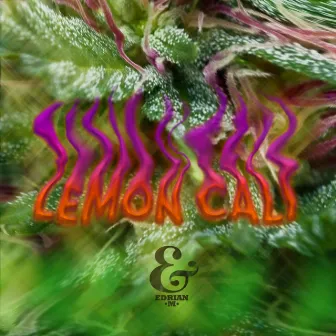 Lemon Cali by Edrian M