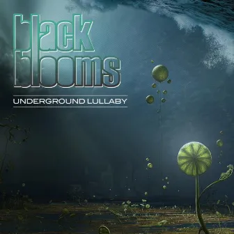 Underground Lullaby by Black Blooms