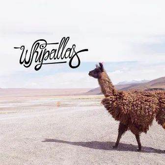 Whipallas by Whipallas