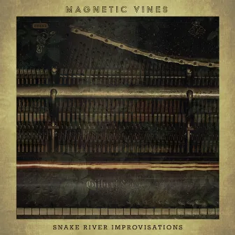 Snake River Improvisations by Magnetic Vines