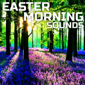 Easter Morning Sounds by Awakening Nature Sounds