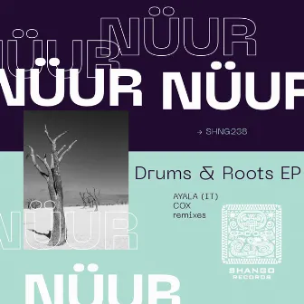 Drums & Roots by Nüur