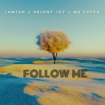 Follow Me by Mr Sayda