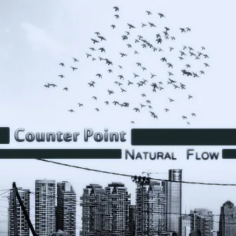 Natural Flow by Counter Point