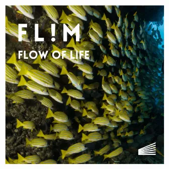 Flow Of Life by Flim