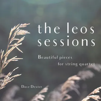 The Leos Sessions (Beautiful Pieces for String Quartet) by Dave Dexter