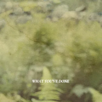 What You’ve Done by Ferry Townes