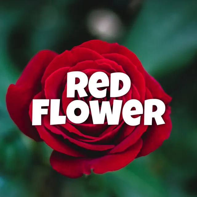 Red Flowers