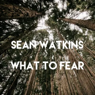 What to Fear by Sean Watkins