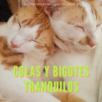 Colas Y Bigotes Tranquilos: Meditación Para Gatos Relajados by Sanador de almas