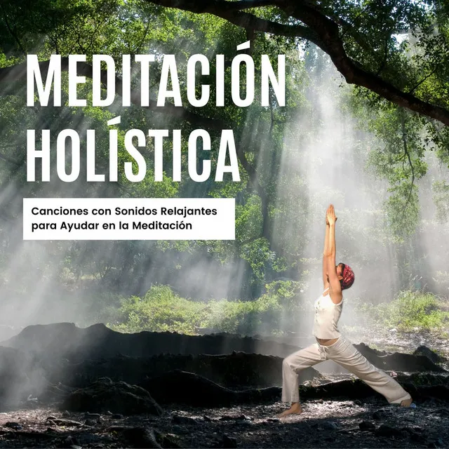 Meditación Holística: Canciones con Sonidos Relajantes para Ayudar en la Meditación