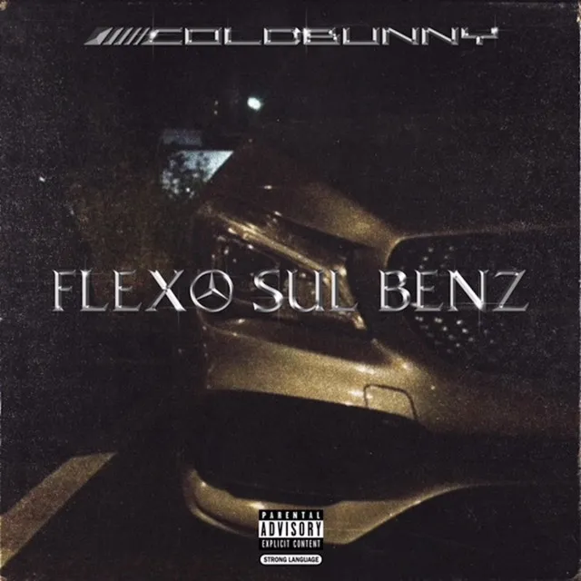 Flexo Sul Benz