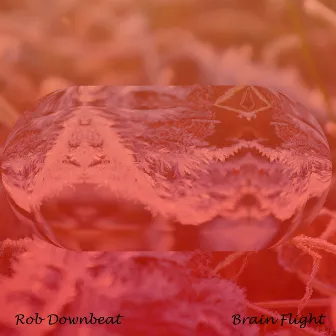 Brain Flight (Radio Edit) by Rob Downbeat