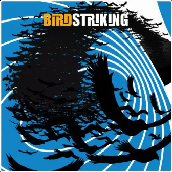 Birdstriking by Birdstriking