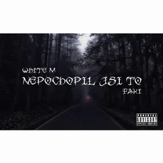 NEPOCHOPIL JSI TO by WHITE M