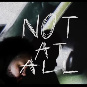 Not At All by Tarik Hollo