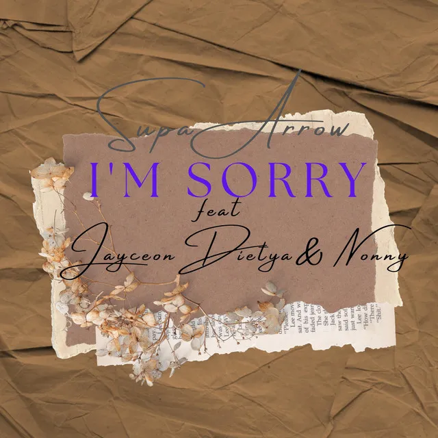 I'm sorry - Radio edit