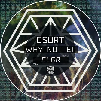 Why Not EP by Csurt