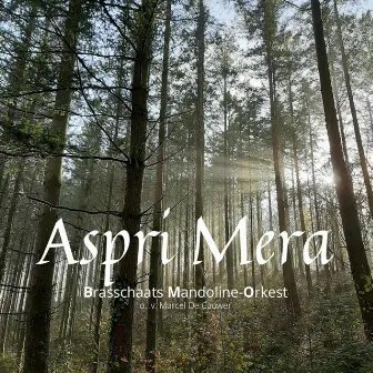 Aspri Mera by Brasschaats Mandoline Orkest