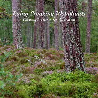 Rainy Croaking Woodlands: Calming Ambience for Relaxation by Relaxing Atmospheres