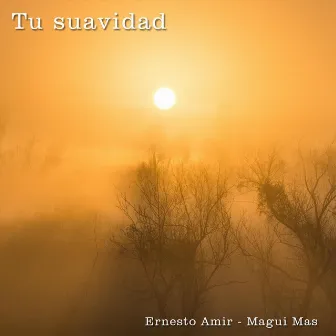 Tu Suavidad by Ernesto Amir