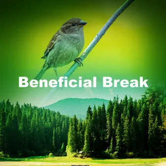 Beneficial Break by Sound Bank of Nature