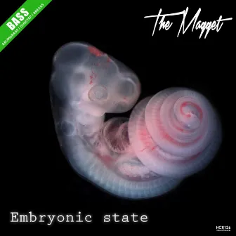 Embryonic State by The Magget