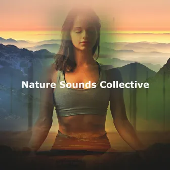 Nature Sounds Collective by Nature Healing Society