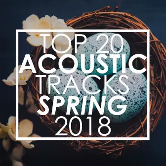 Top 20 Acoustic Tracks Spring 2018 (Instrumental) by Guitar Tribute Players