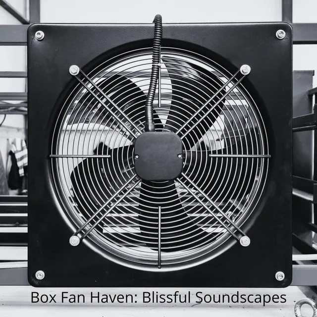 Box Fan Haven: Blissful Soundscapes