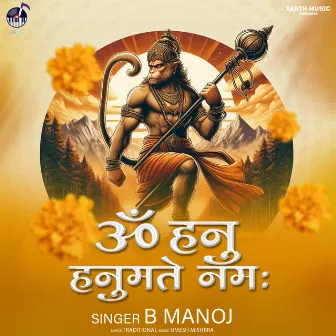 Om Hanu Hanumate Namah by 