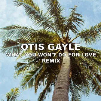 What You Won't Do For Love (Remix) by Otis Gayle