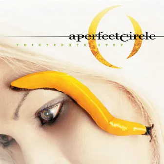 Thirteenth Step by A Perfect Circle