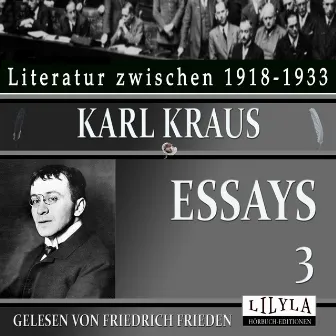 Essays 3 (Endlich, der kleine Brockhaus, Druckfehlerteufel, Werkstatt, Erstens und Zweitens u.a.) by Karl Kraus