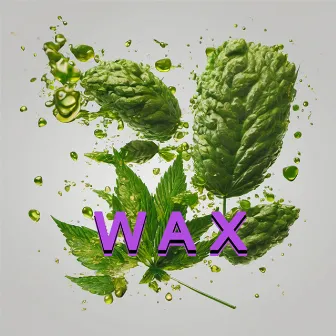 Wax by Unknown Artist