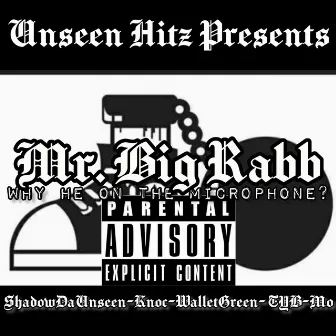 Why He On the Microphone by Mr. Big Rabb