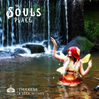 The Souls Place by Seek Within