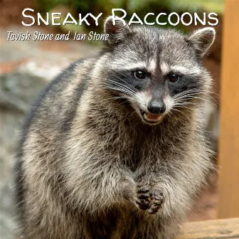 Sneaky Raccoons by Tavish Stone