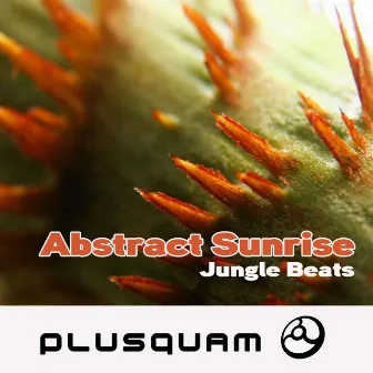 Jungle Beats by Abstract Sunrise