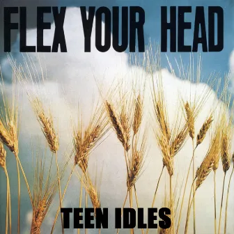 Flex Your Head by Teen Idles