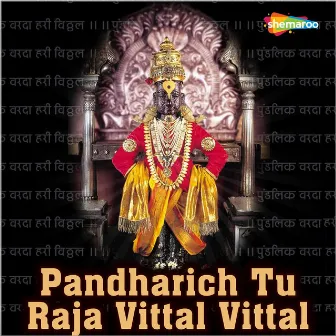 Pandharich Tu Raja Vittal Vittal by Amey Date