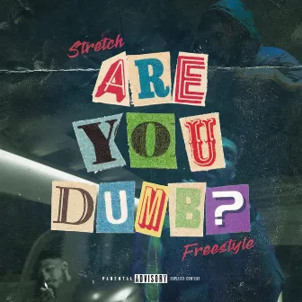 Are You Dumb by STRETCH