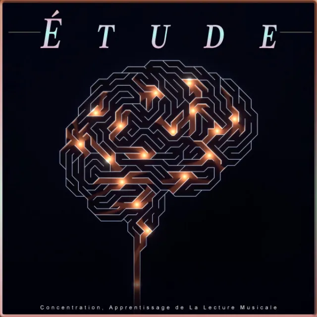 Étude: Concentration, Apprentissage de La Lecture Musicale